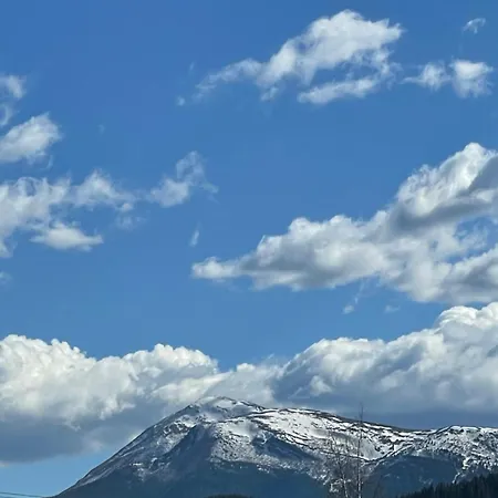 Azaliya