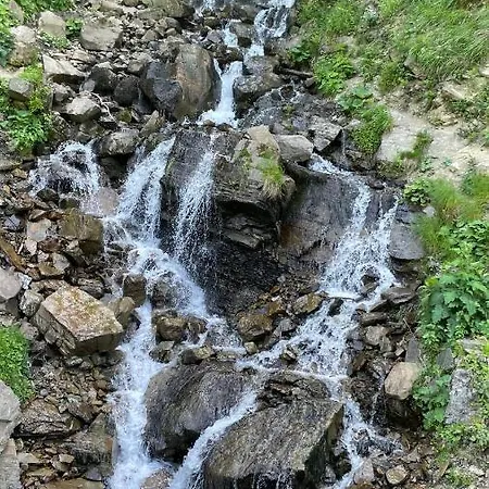 Nyaraló Azaliya